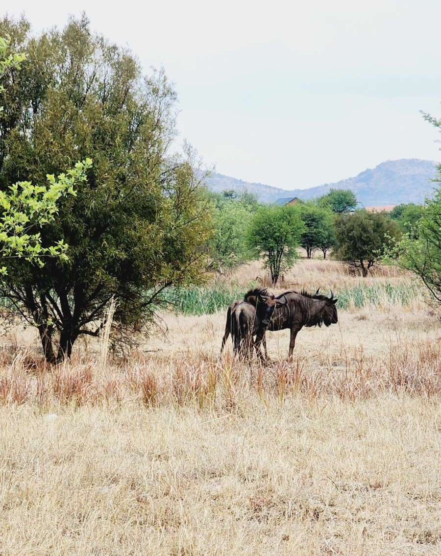 Commercial Property for Sale in La Camargue Private Country Estate North West